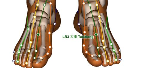 lv3 acupuncture point|acupressure points for liver problems.